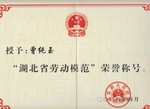 董事长曾纯玉获“湖北省劳动模范”荣誉称号