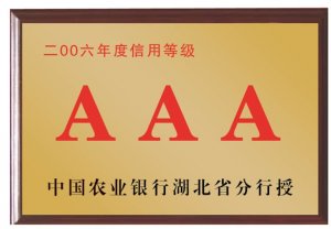 中国农业银行湖北省分行2006年度信用等级AAA